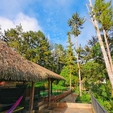 La Semilla Ecolodge Серро-Асуль Экстерьер фото