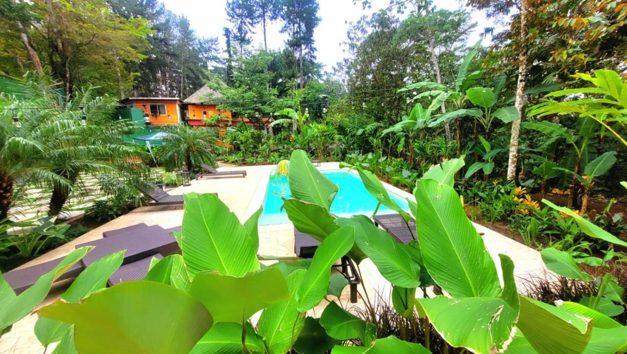 La Semilla Ecolodge Серро-Асуль Экстерьер фото