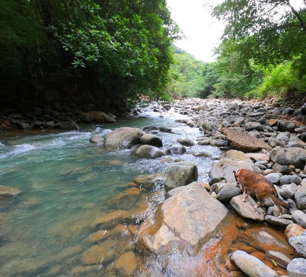 La Semilla Ecolodge Серро-Асуль Экстерьер фото