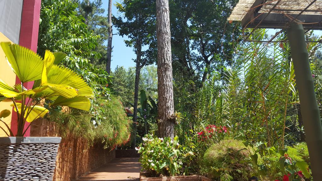La Semilla Ecolodge Серро-Асуль Экстерьер фото
