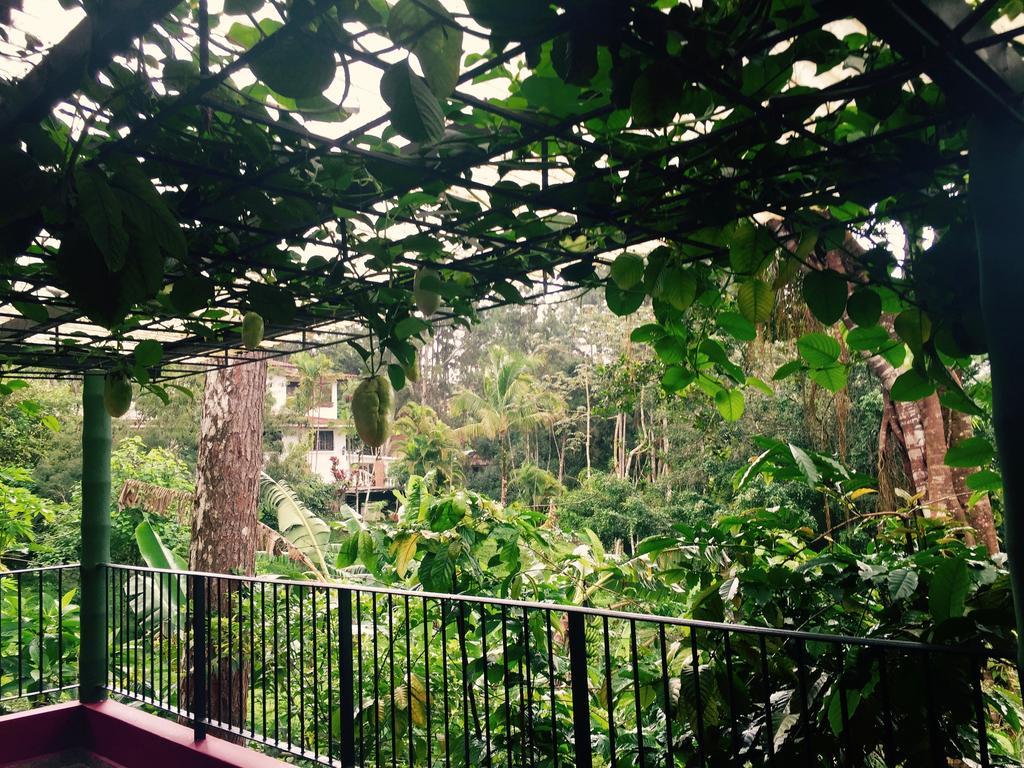 La Semilla Ecolodge Серро-Асуль Экстерьер фото